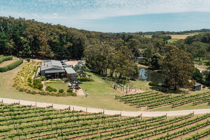 Farm Picnic for 4 in Victoria - An Overview of Green Olive at Red Hill