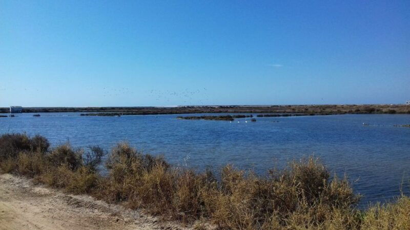 faro-bike-tour-through-the-beautiful-ria-formosa