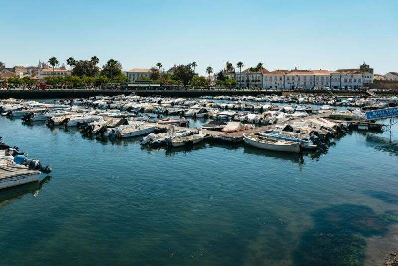 faro-deserta-island-and-farol-island-catamaran-boat-trip