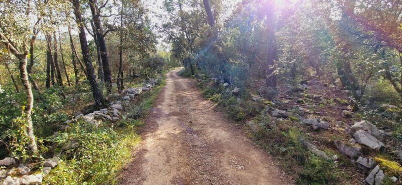fatima-jurassic-footprints-e-bike-tour