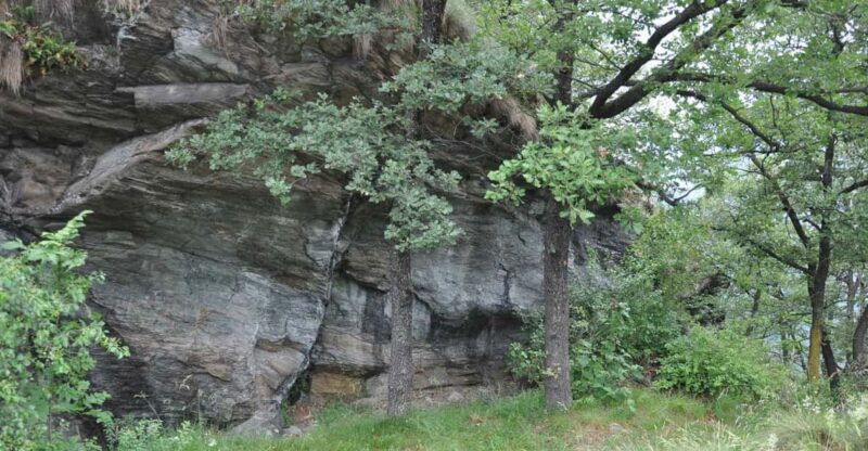 fauna-and-flora-of-exposed-and-engraved-rocks