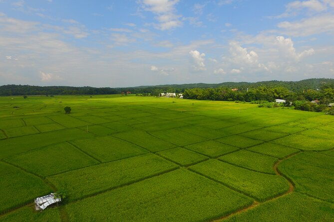 FIELDS OF GOLD Mountain Biking Tour Chiang Mai - Final Thoughts: Is This Tour Right for You?