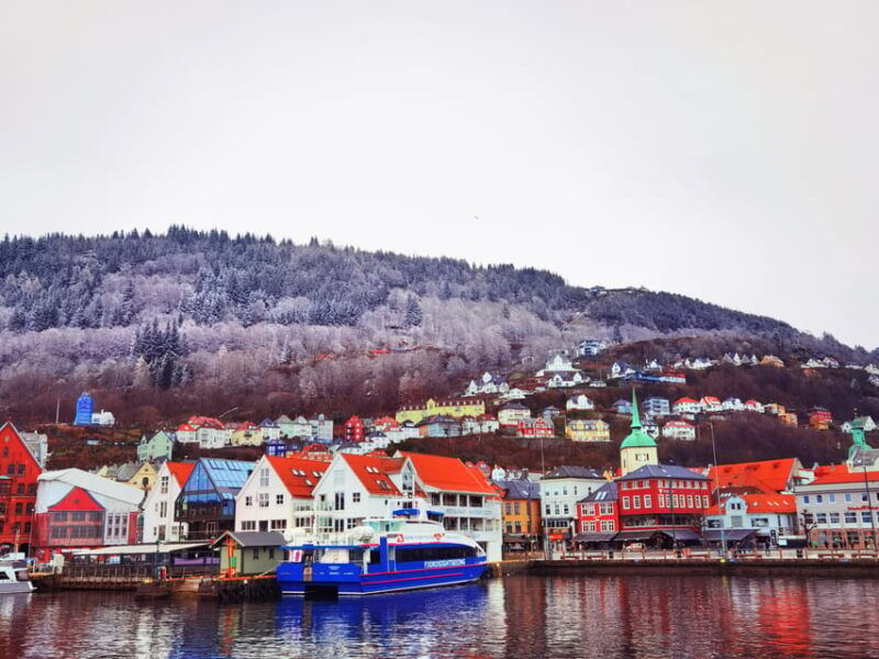 flam-flexible-tour-with-stegastein-cruise-and-train-include