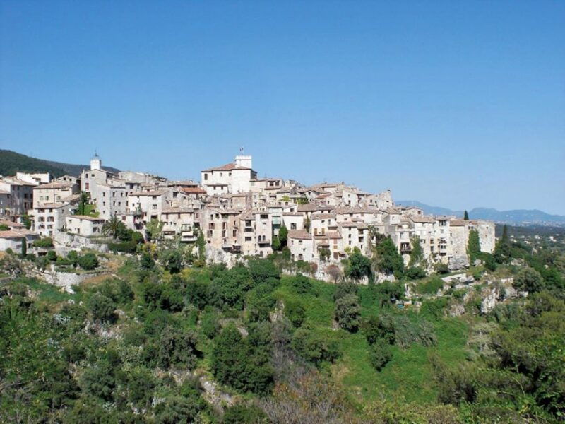 flavor-taste-of-provence