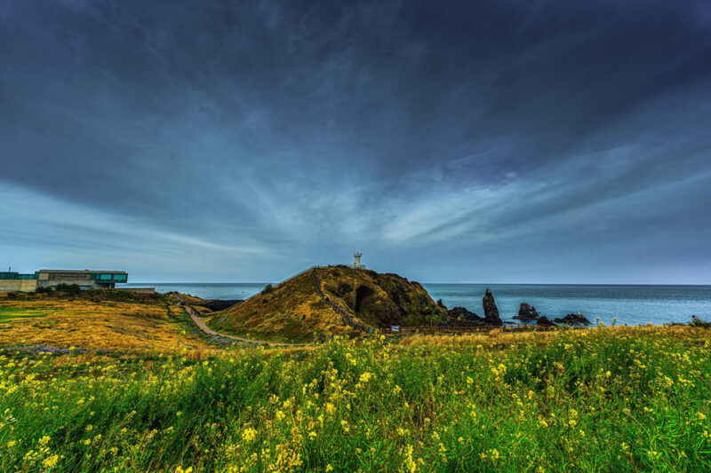for-jeju-port-cruise-guests-unesco-day-tour