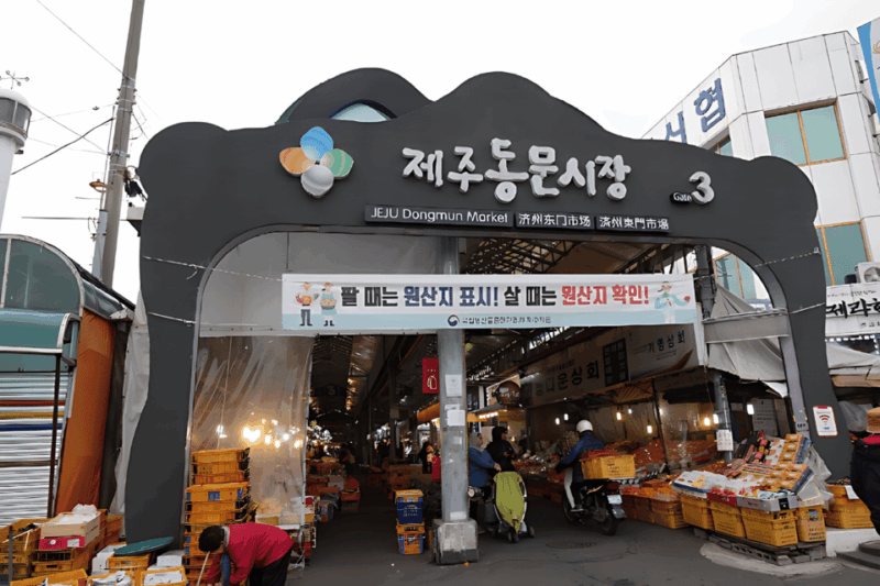 for-jeju-port-cruise-guests-unesco-day-tour