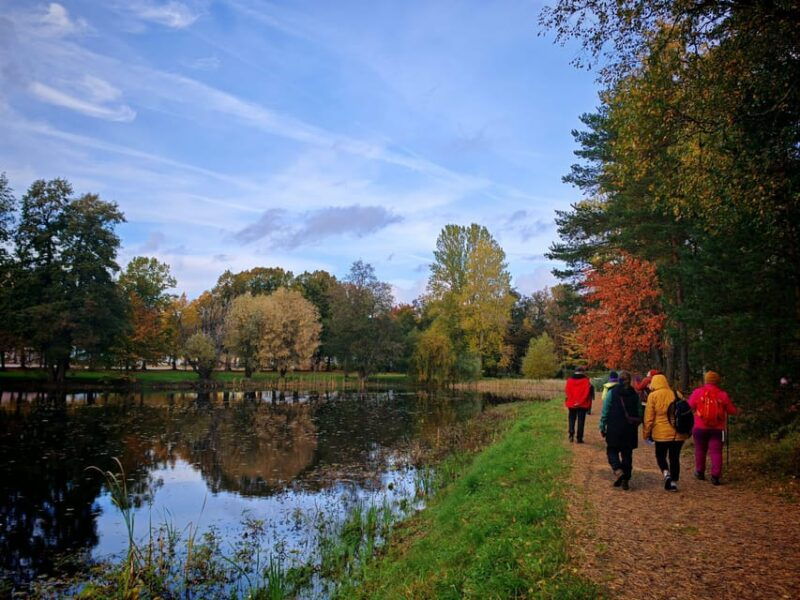 forest-mind-tour-in-tampere