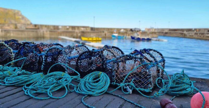 from-aberdeen-coastal-villages-of-aberdeenshire-tour