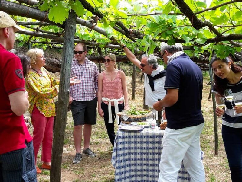 from-amalfi-amalfi-coast-tour-and-wine-tasting-with-lunch
