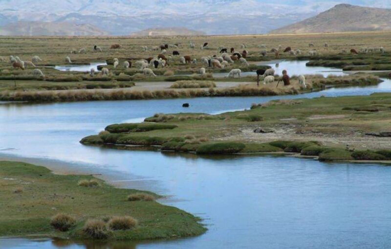 from-arequipa-salinas-lagoon-full-day-trip-with-hot-springs