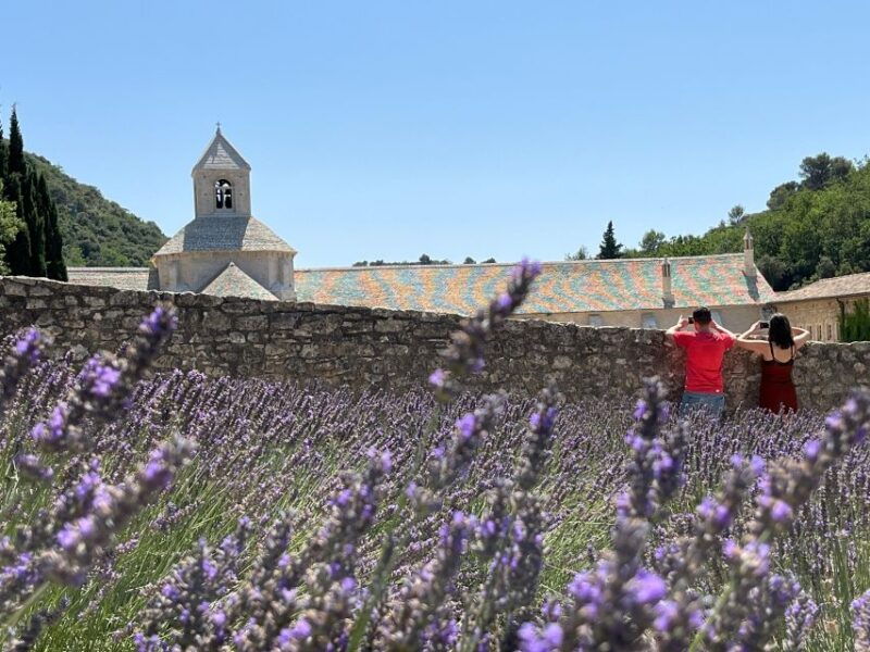 from-avignon-lavender-tour-around-valensole-or-sault