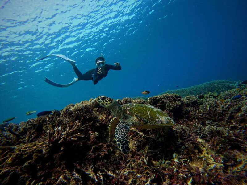 from-bali-half-day-snorkeling-3-spots-to-lembongan-penida