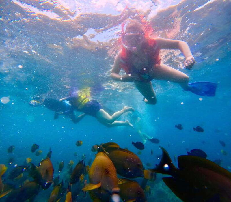 from-bali-nusa-penida-full-day-tour-and-snorkeling-3-spots