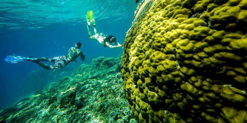 from-bali-swim-with-manta-rays-in-nusa-penida