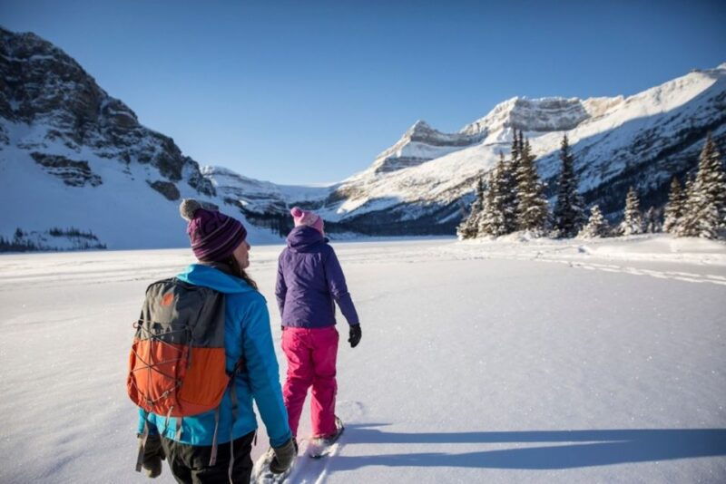 from-banff-icefields-parkway-abraham-lake-ice-bubbles