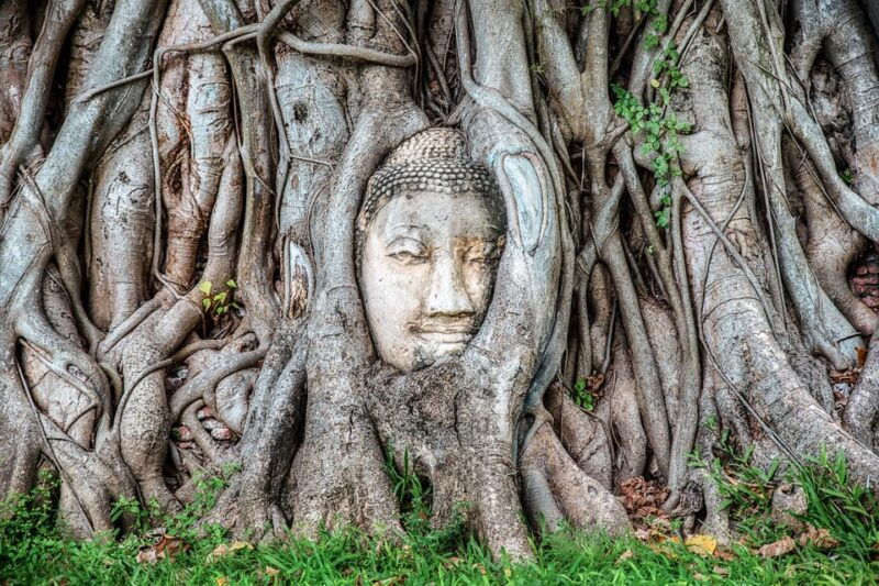 from-bangkok-ayutthaya-ayothaya-floating-market-day-trip