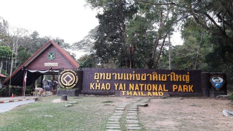 from-bangkok-khao-yai-national-park-jungle-trek-with-lunch