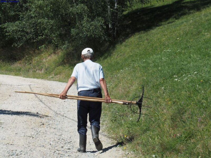 from-brasov-romanian-mountain-villages-day-tour