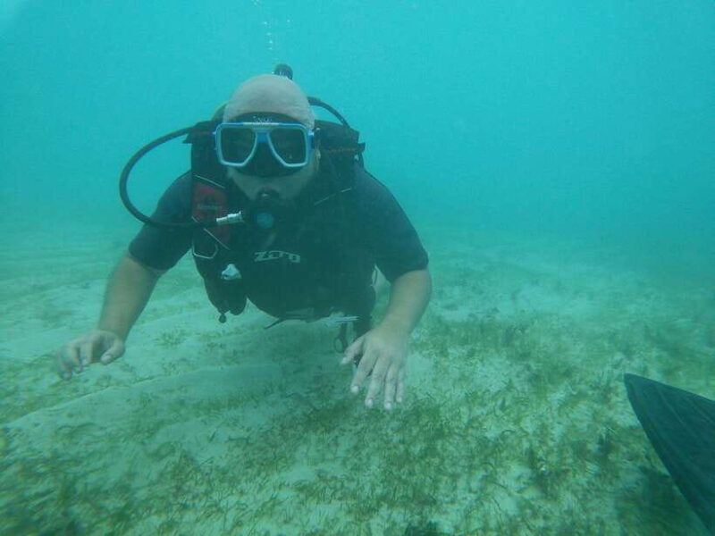 from-cebu-city-scuba-diving-adventure-with-whale-sharks