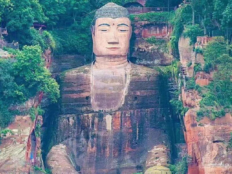 from-chengdu-leshan-giant-buddha-and-panda-base-day-trip