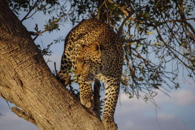 from-colombo-2-day-southern-coast-wildlife-heritage-tour