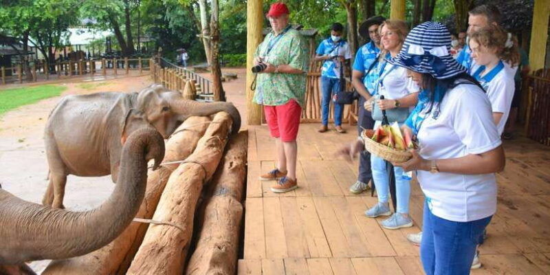 from-colombo-kandy-pinnawala-orphanage-short-excursions