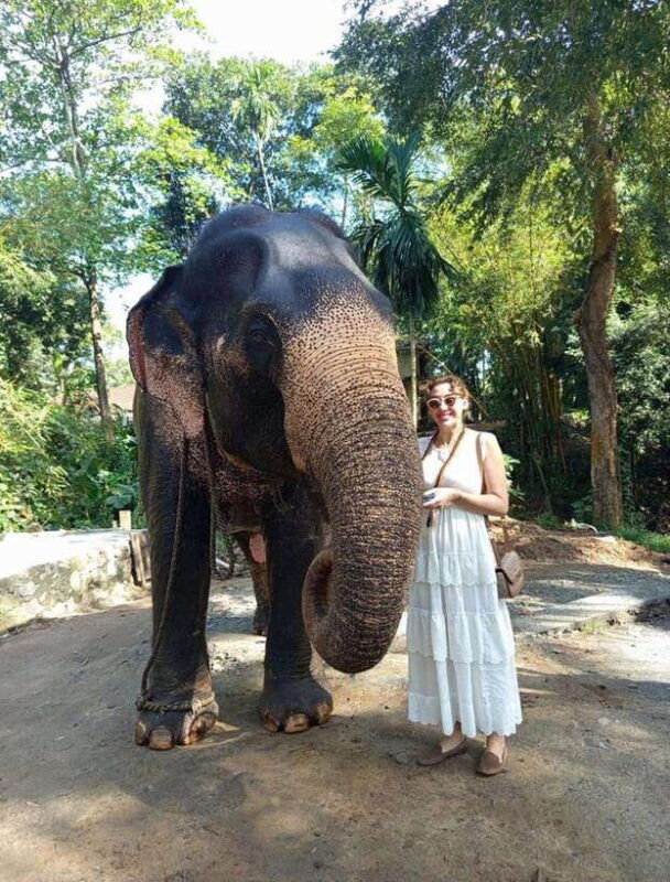from-colombo-or-negombo-pinnawala-kandy-tea-factory-tour