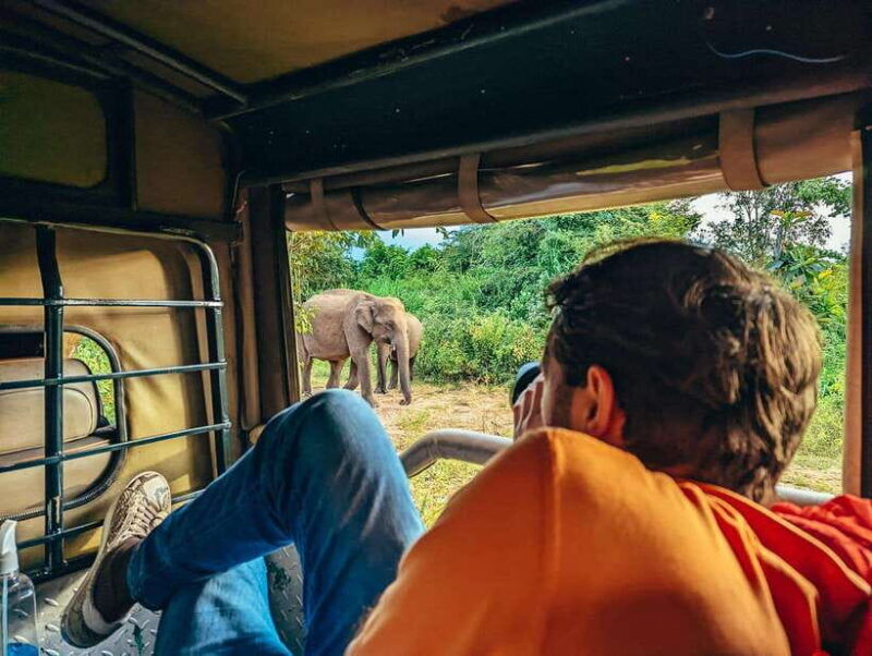 from-colombo-sigiriya-rock-dambulla-minneriya-safari