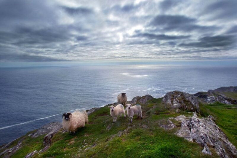 from-cork-guided-full-day-west-cork-to-mizen-head-tour
