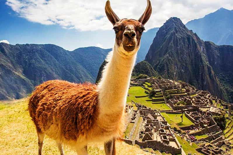 from-cusco-machu-picchu-tour-1-day-by-train-lunch