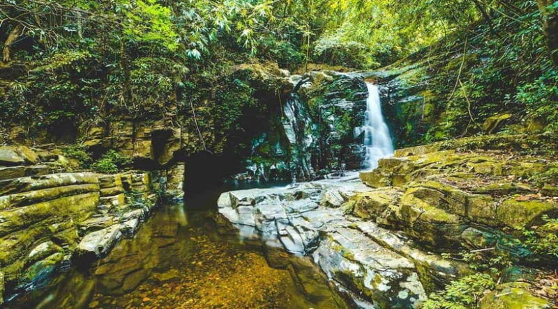 from-da-nang-hue-bach-ma-national-park-day-trip