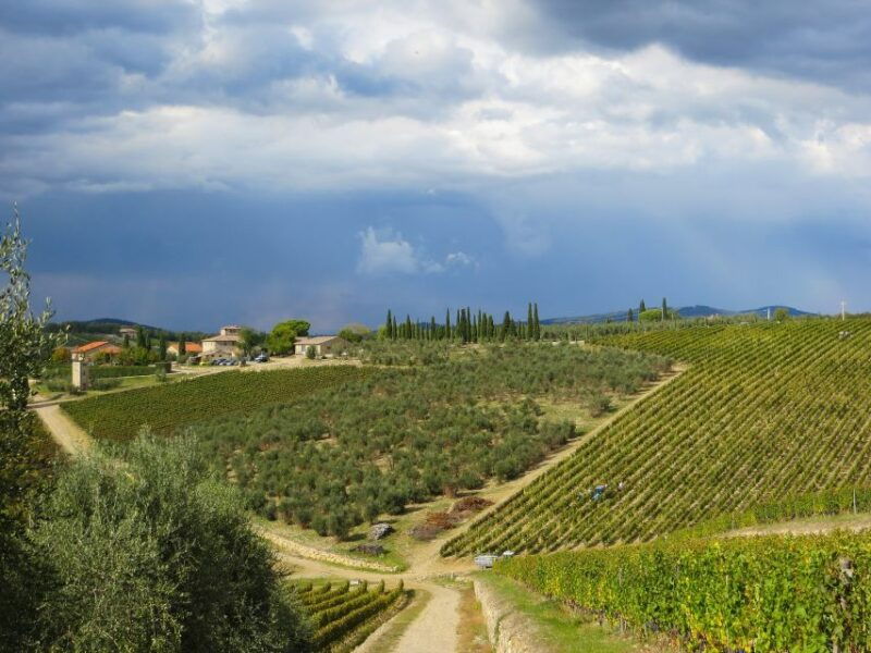 from-florence-private-siena-day-trip-with-transfers