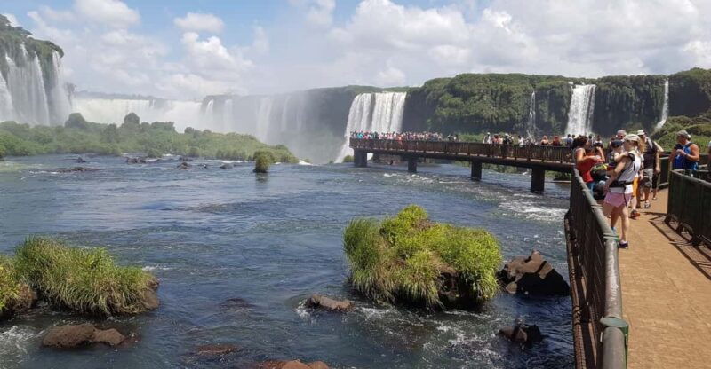 from-foz-do-iguacu-visit-to-brazilian-falls-and-bird-park