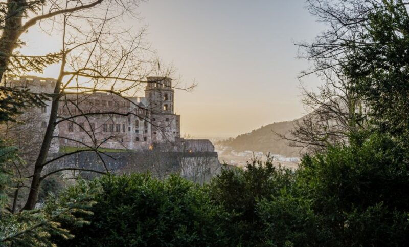 from-frankfurt-day-tour-to-heidelberg-with-local-guide