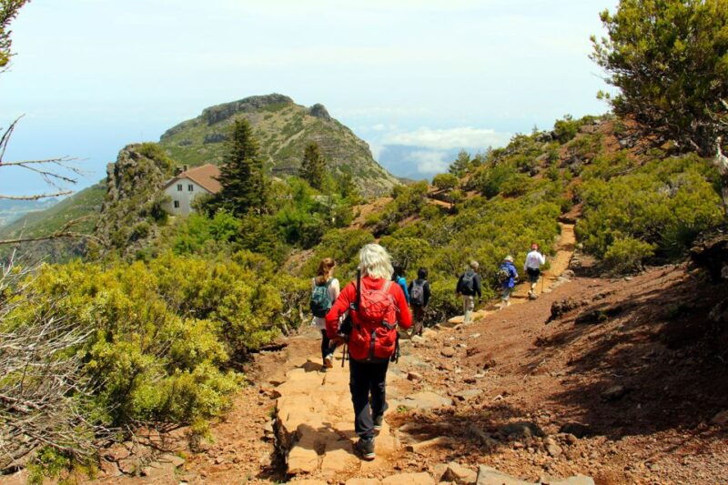from-funchal-madeira-peaks-mountain-walk