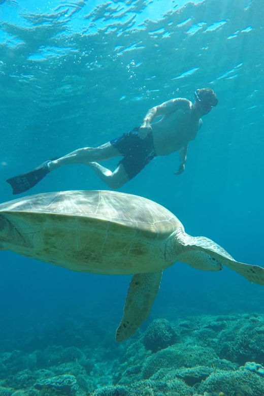 from-gili-trawangan-small-group-sunset-snorkeling-tour