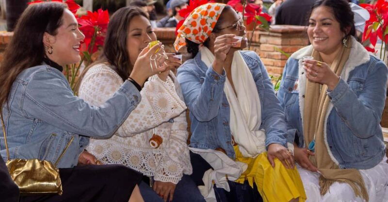 from-guadalajara-tequila-factory-and-panoramic-swing-tour