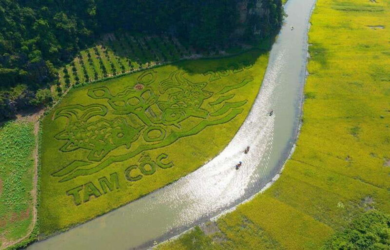 from-ha-noi-private-incense-village-ninh-binh-tour-1-day