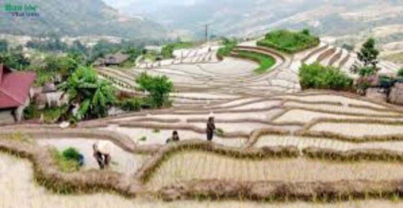from-hanoi-2-day-ha-thanh-waterfall-and-khuoi-my-village