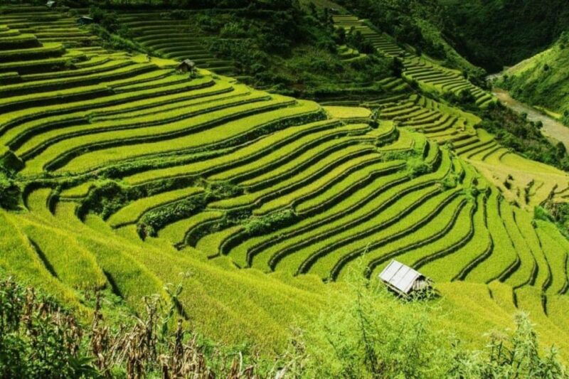 from-hanoi-2-days-sapa-trekking-tour-lao-chai-and-cat-cat
