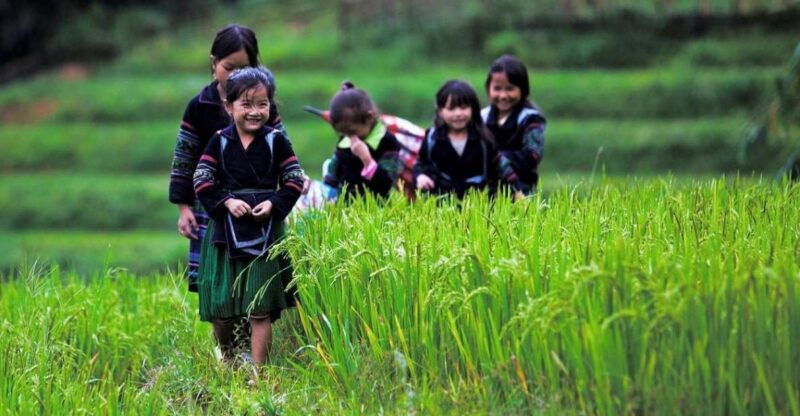from-hanoi-3-day-sapa-trek-with-guide-homestay-and-meals