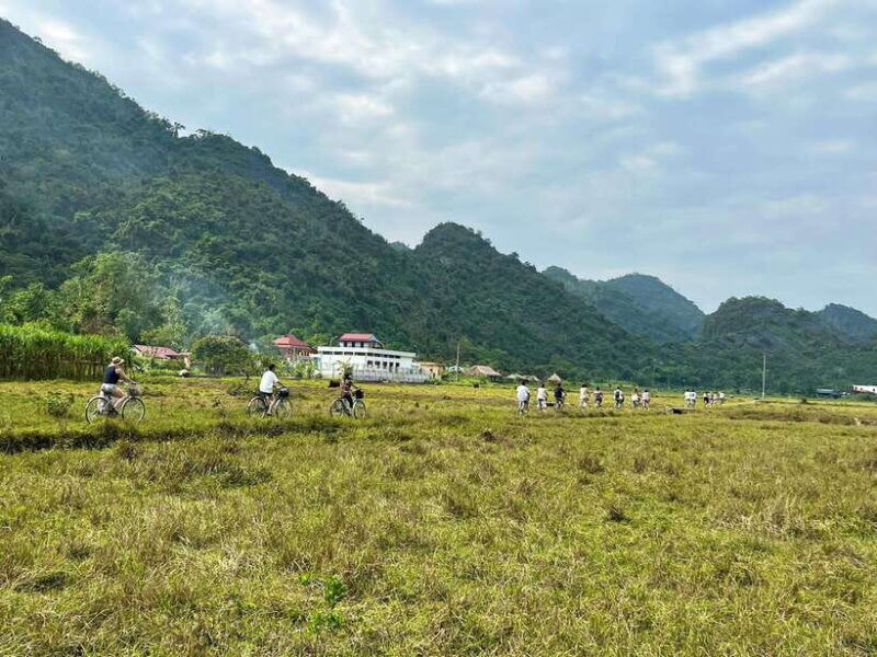from-hanoi-cat-ba-lan-ha-bay-day-trip-with-cruise-and-lunch