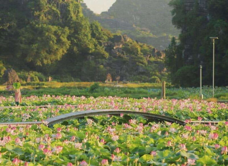 from-hanoi-ninh-binh-tour-bai-dinh-trang-an-and-mua-cave