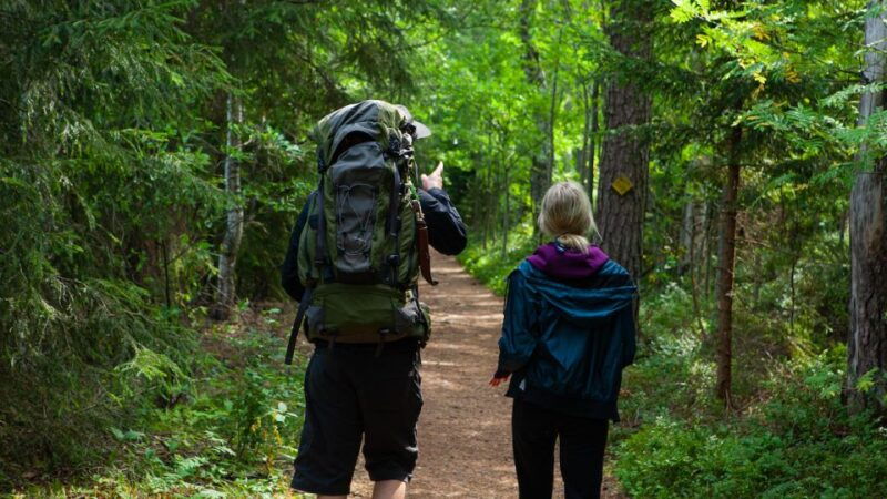 from-helsinki-berry-picking-day-trip-in-a-national-park