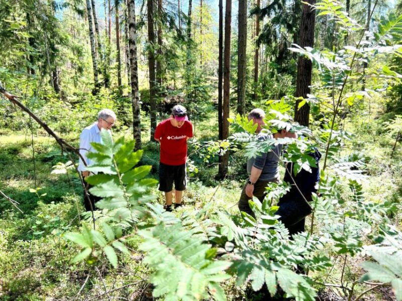 from-helsinki-hike-and-sauna-in-sipoonkorpi-national-park