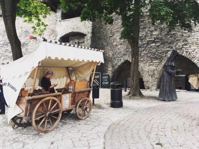 from-helsinki-tallinn-with-round-trip-ferry-guided-tour