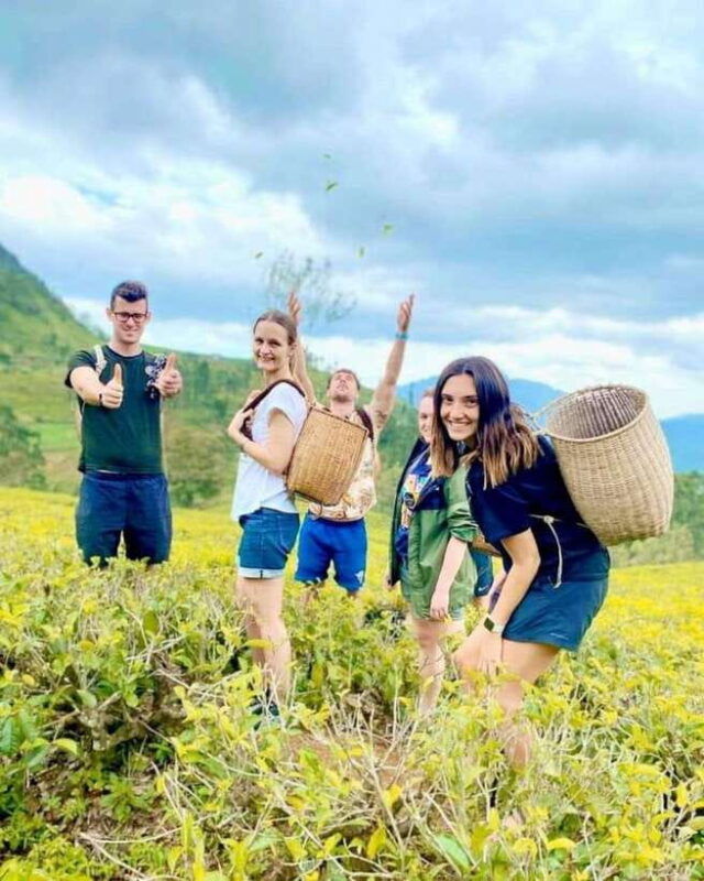 from-hikkaduwa-galle-mirissa-waterfall-tea-factory-tour