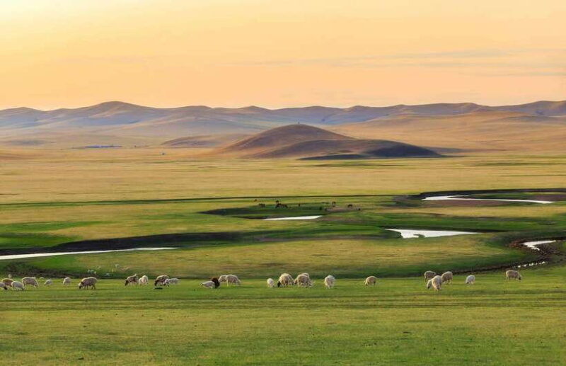 from-hohhot-8-day-inner-mongolia-private-tour-to-ordos
