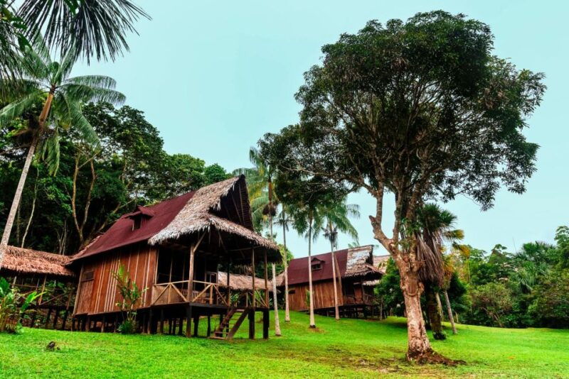 from-iquitos-3-day-pacaya-samiria-national-reserve-tour