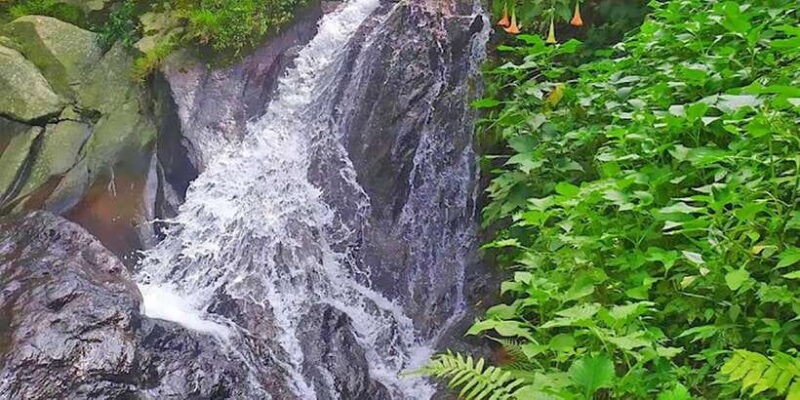 from-jakarta-waterfall-botanical-garden-puppet-show